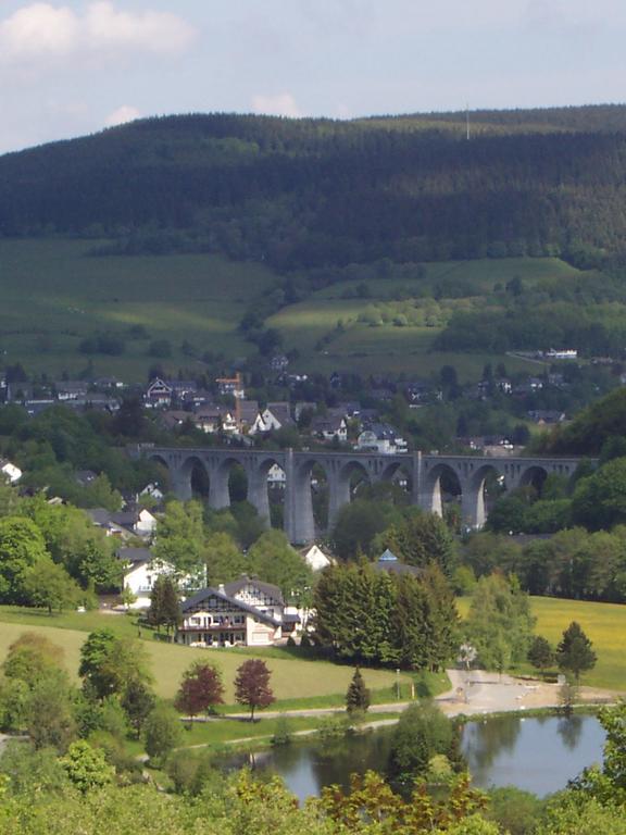 Wietheger'S Ferienwohnungen Gaestehaus Strycktal II Willingen  Eksteriør bilde